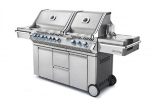 pro825-angle-lights-napoleon-grills.jpg